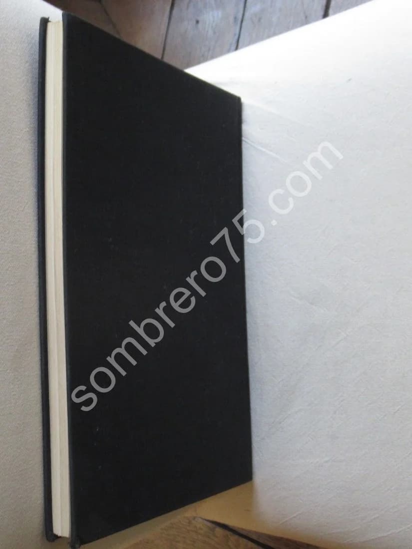 L'Alchimie et son Livre Muet - Mutus Liber - Image 7