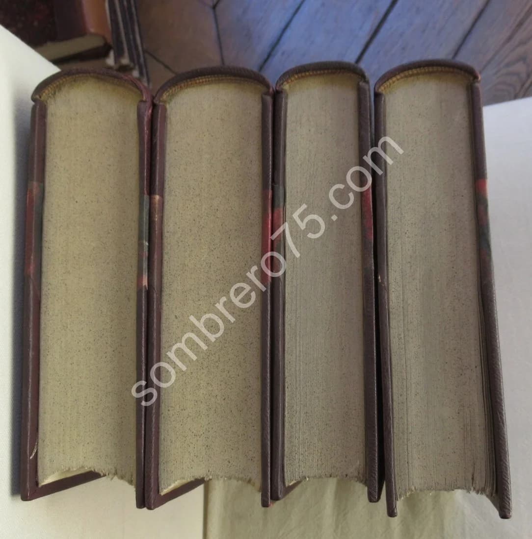 Manuel de L'Amateur d'Estampes du XIXe et du XXe Siècle. 2 + 2 Tomes. Ex Num - Image 12