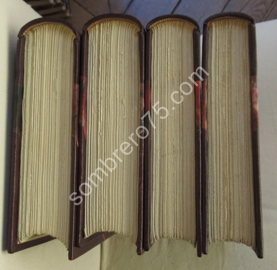 Manuel de L'Amateur d'Estampes du XIXe et du XXe Siècle. 2 + 2 Tomes. Ex Num - Image 13