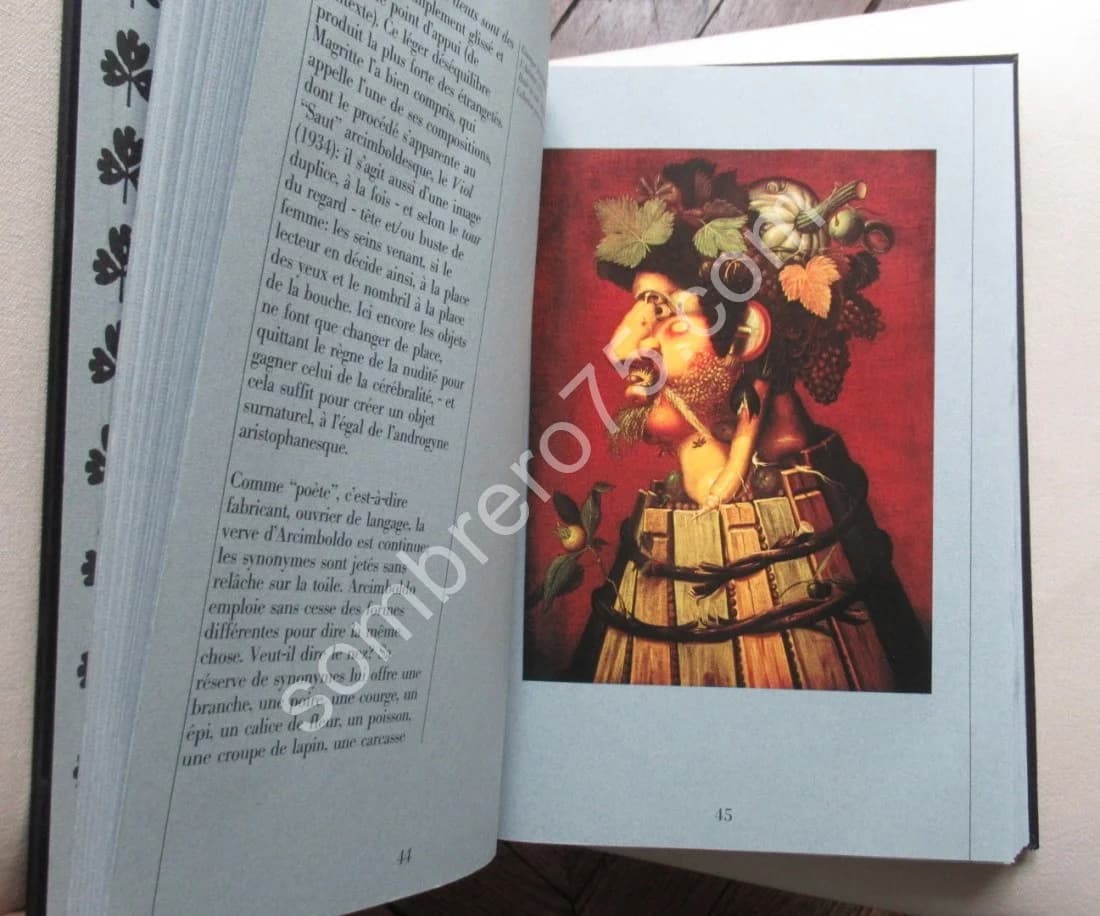 Arcimboldo - Image 5