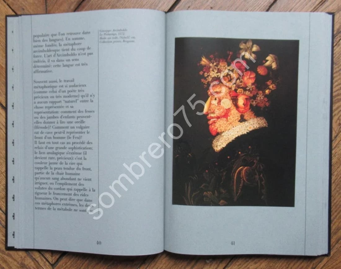 Arcimboldo - Image 6