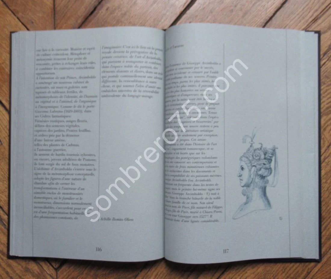 Arcimboldo - Image 8