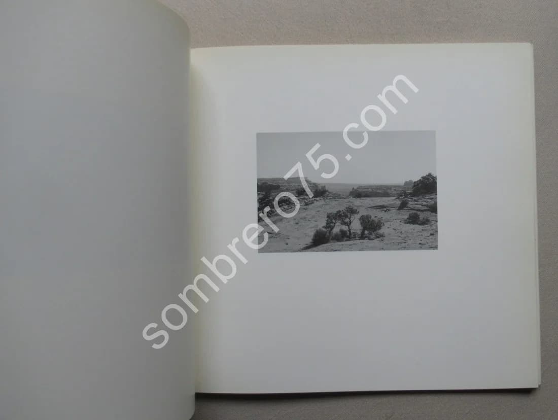 Le Jardin de Poussière - Image 7