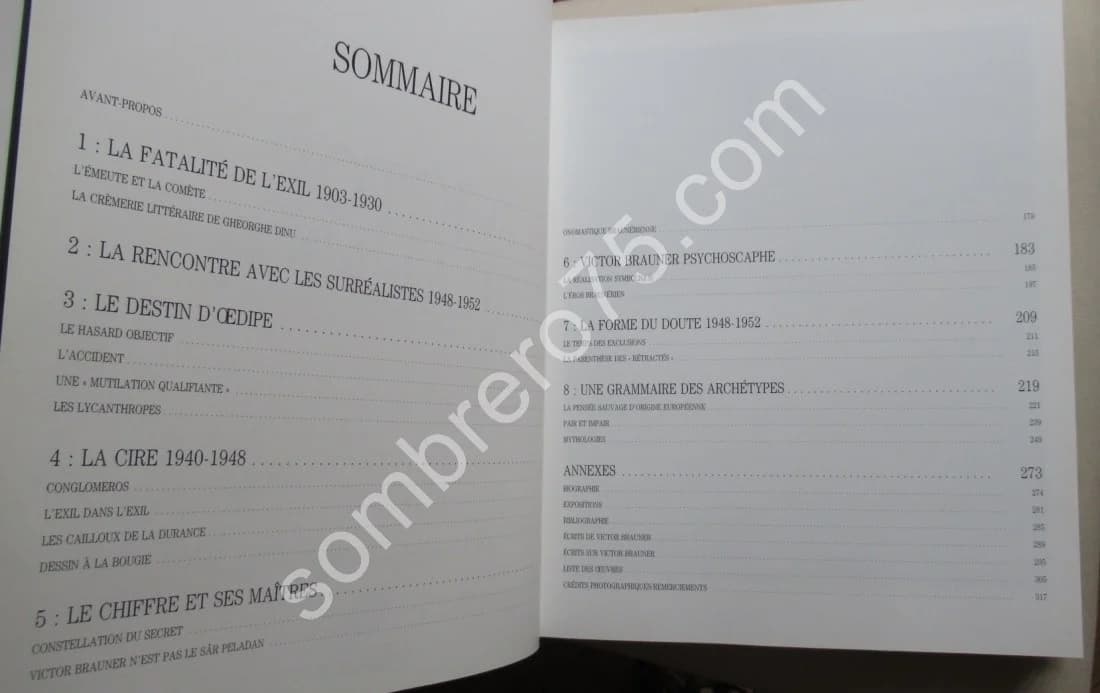 Victor BRAUNER. Didier SEMIN - Image 4