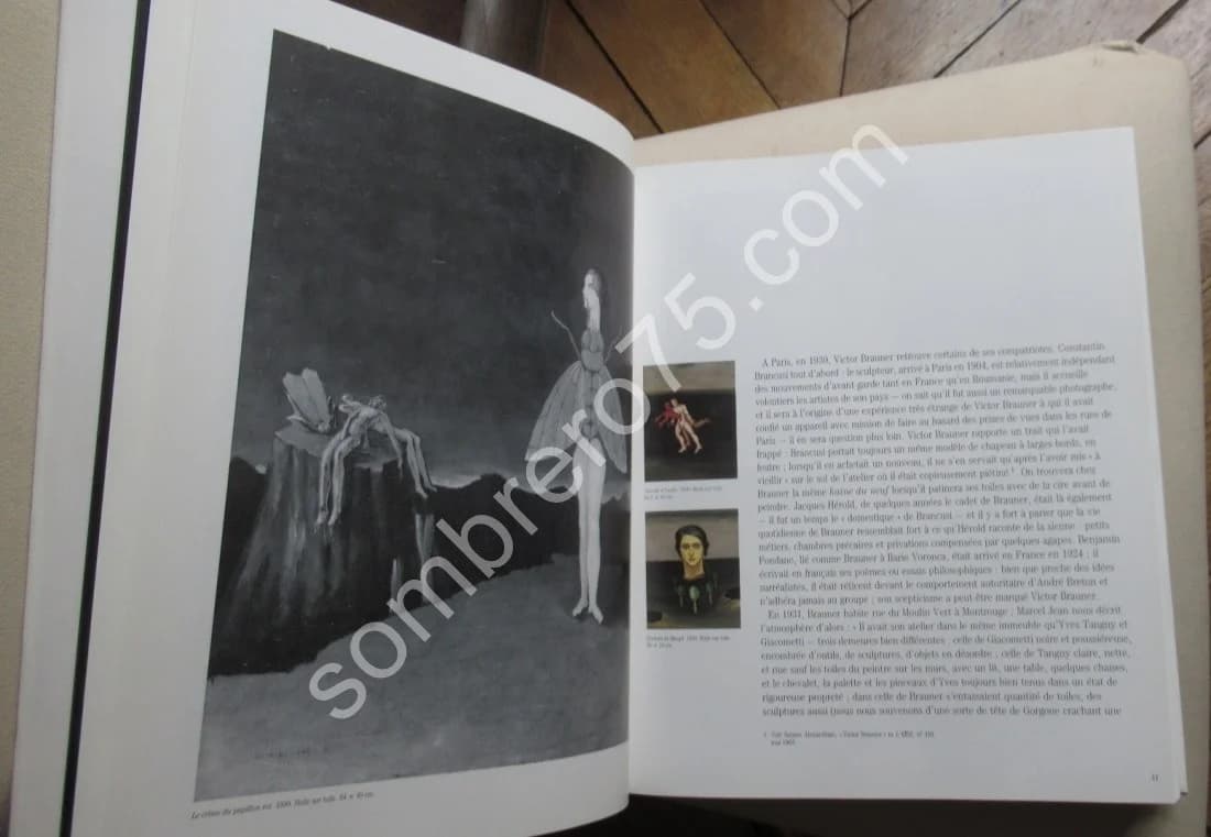 Victor BRAUNER. Didier SEMIN - Image 5