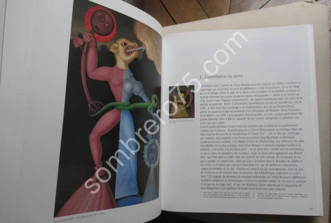 Victor BRAUNER. Didier SEMIN - Image 7