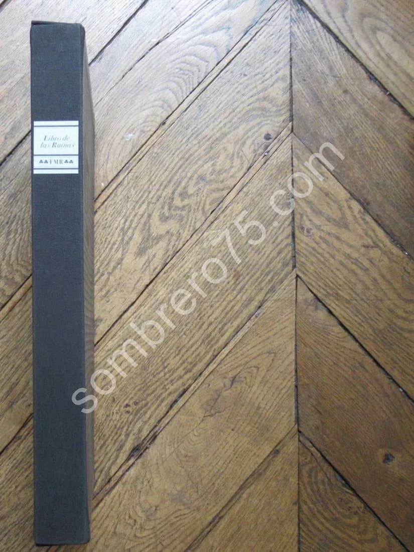 Libro de Las Ruinas. Jorge Luis Borges - Image 11