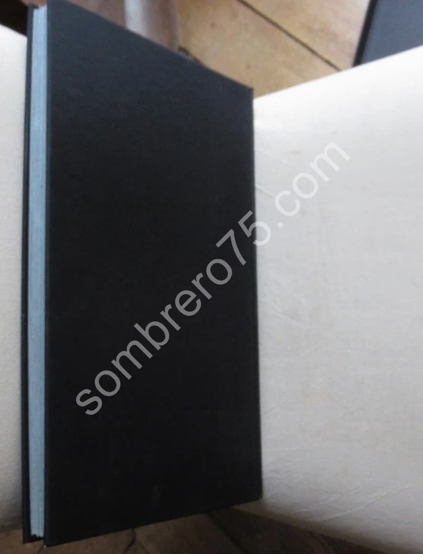 Libro de Las Ruinas. Jorge Luis Borges - Image 9