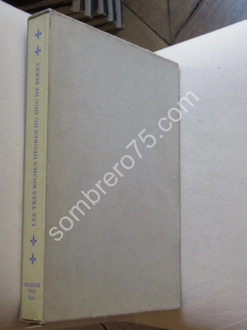 Les Très Riches Heures du Duc de Berry. Charles SAMARAN - Image 10