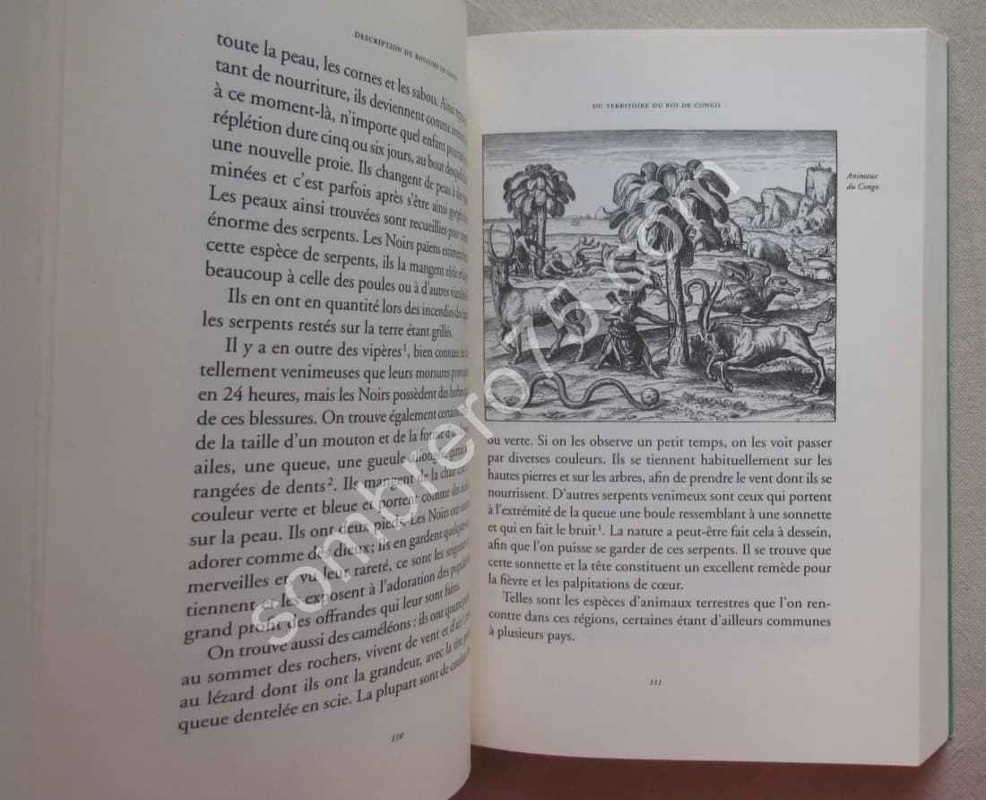 Le Royaume de Congo et les Contrées environnantes (1591) - Image 6