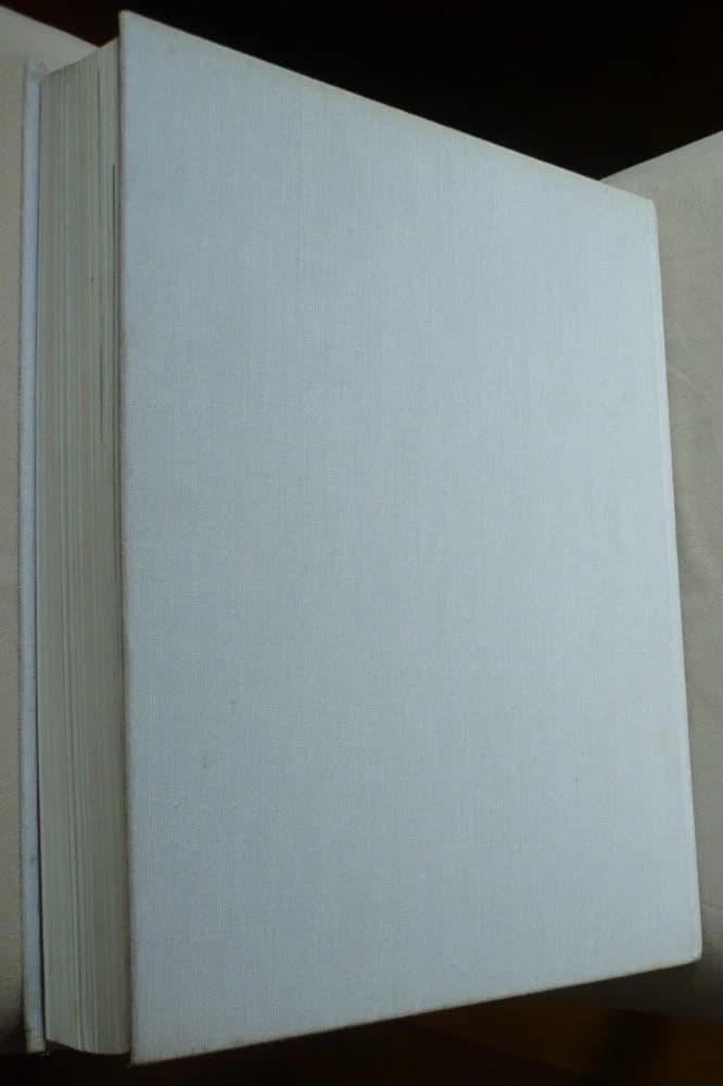 L'Art Gothique - Image 4