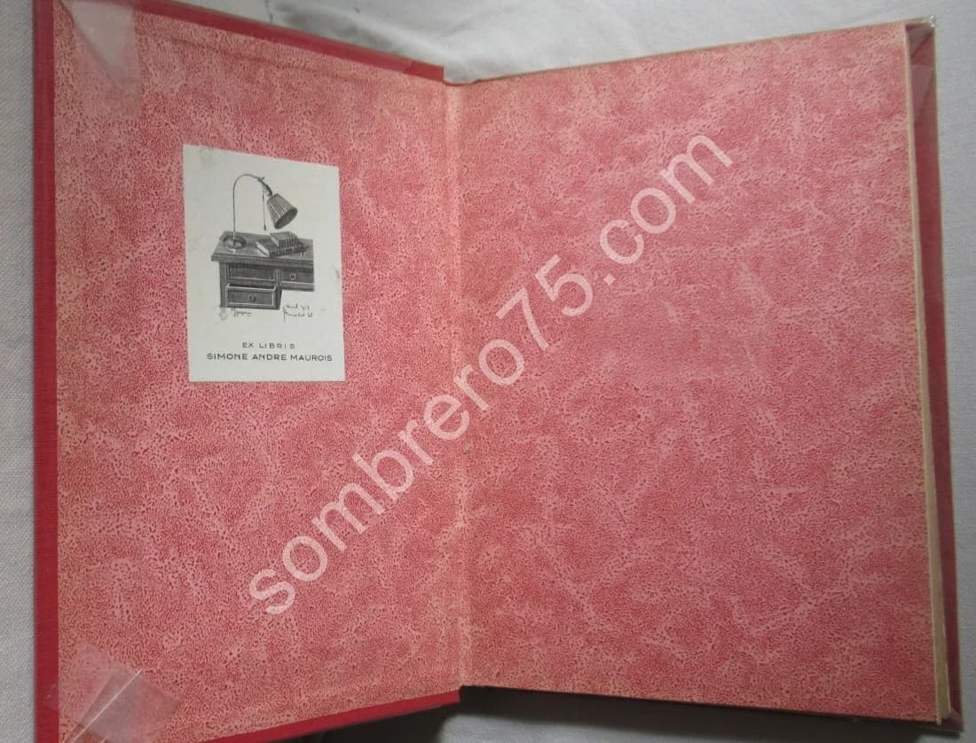 Le Roman Scientifique d'Emile Zola. La médecine et les Rougon Macquart. H. MARTINEAU - Image 2