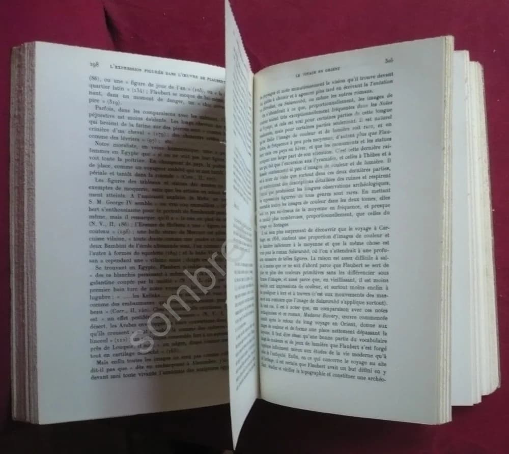 L'Expression Figurée et Symbolique dans l'Oeuvre de Gustave Flaubert - Image 3
