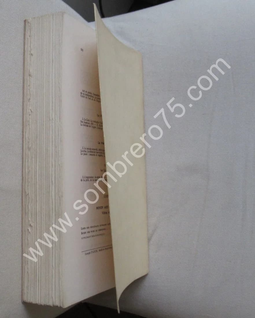 François Villon et les Thèmes Poétiques du Moyen-Age - Image 8