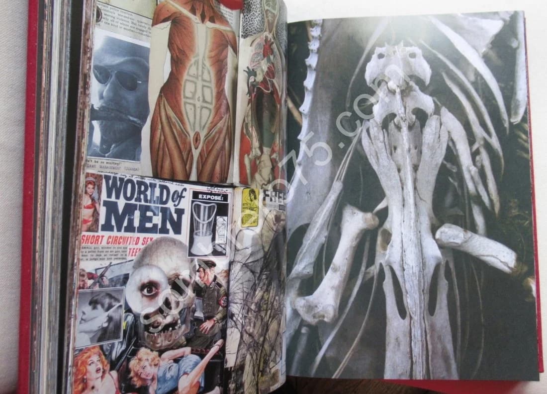 Peter BEARD 2 Tomes. Coffret - Image 6