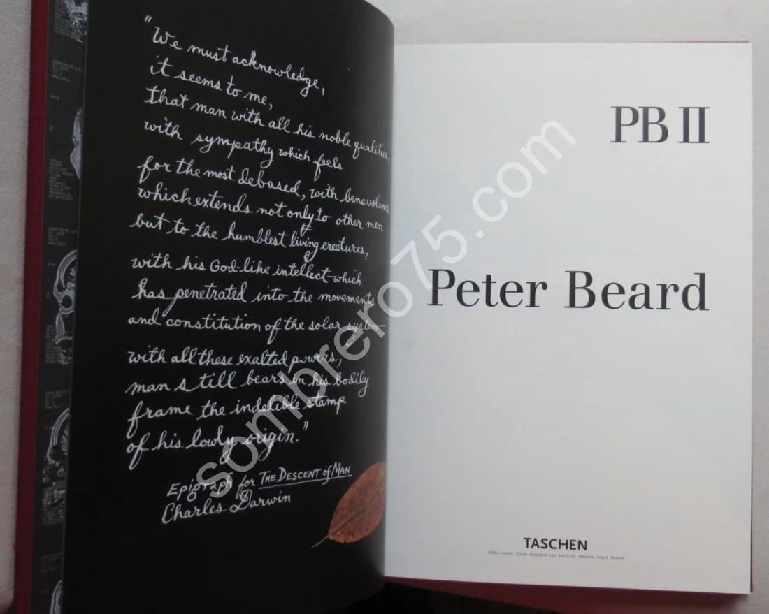 Peter BEARD 2 Tomes. Coffret - Image 8