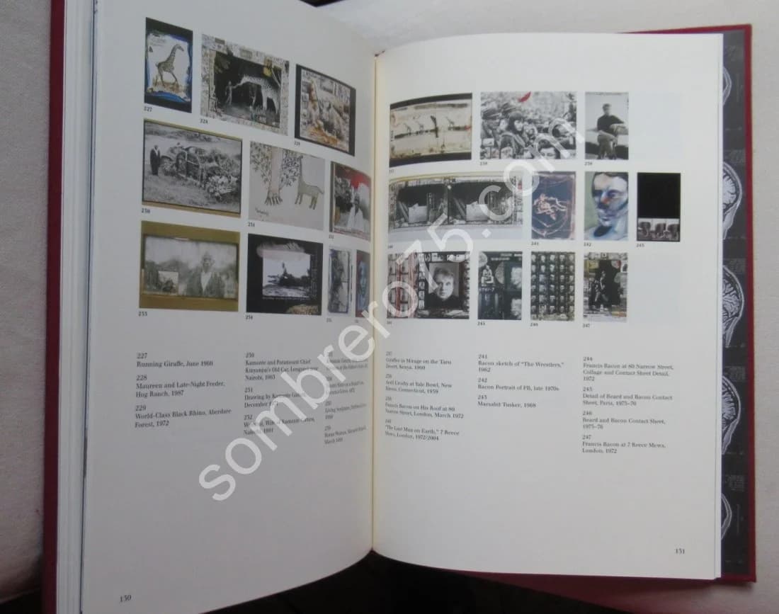 Peter BEARD 2 Tomes. Coffret - Image 9