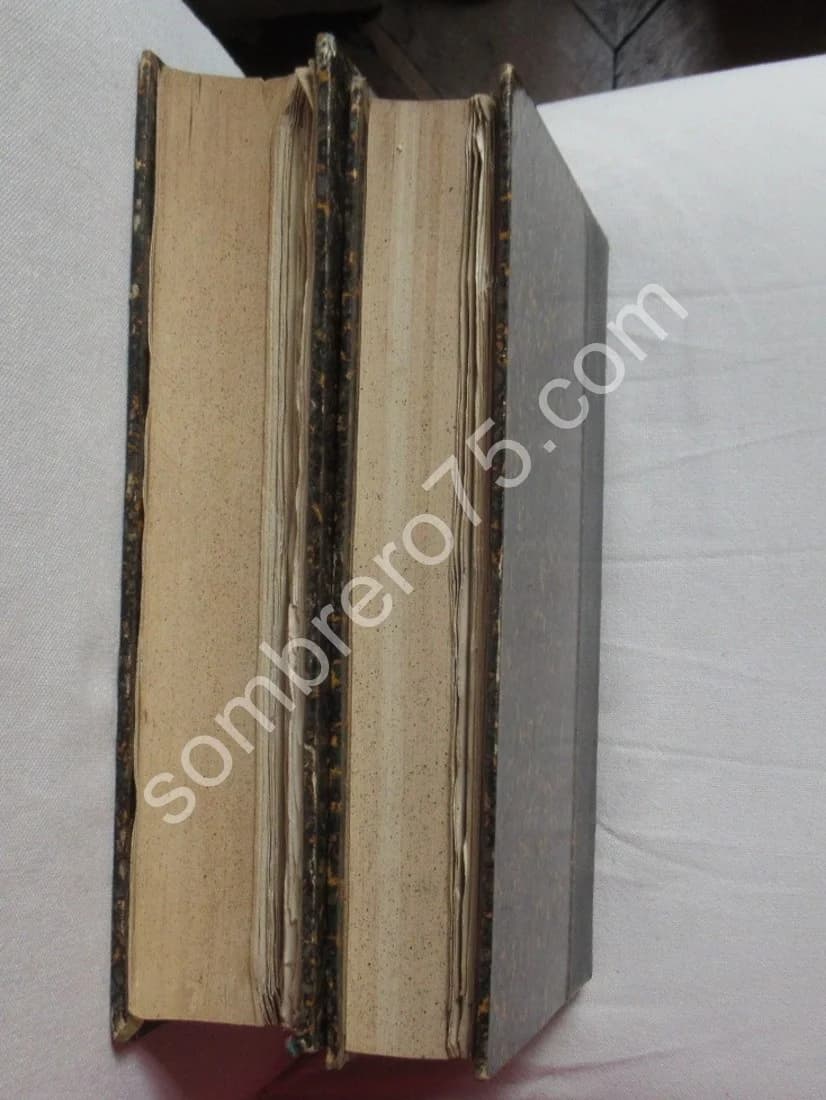 La Manoeuvre de Saint Privat. Général H BONNAL. 1904. Envoi - Image 11