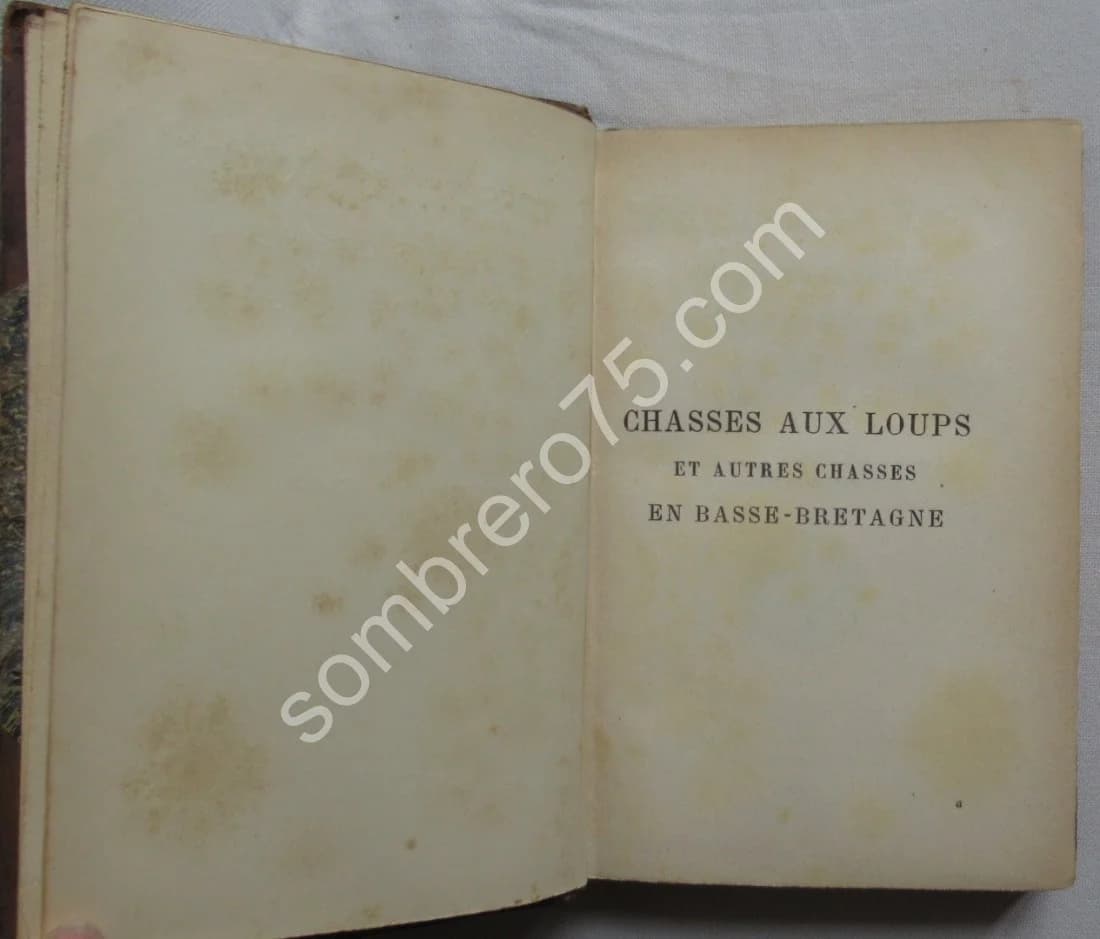 Chasses aux Loups et autres chasses en Basse Bretagne. DAVIES - Image 4