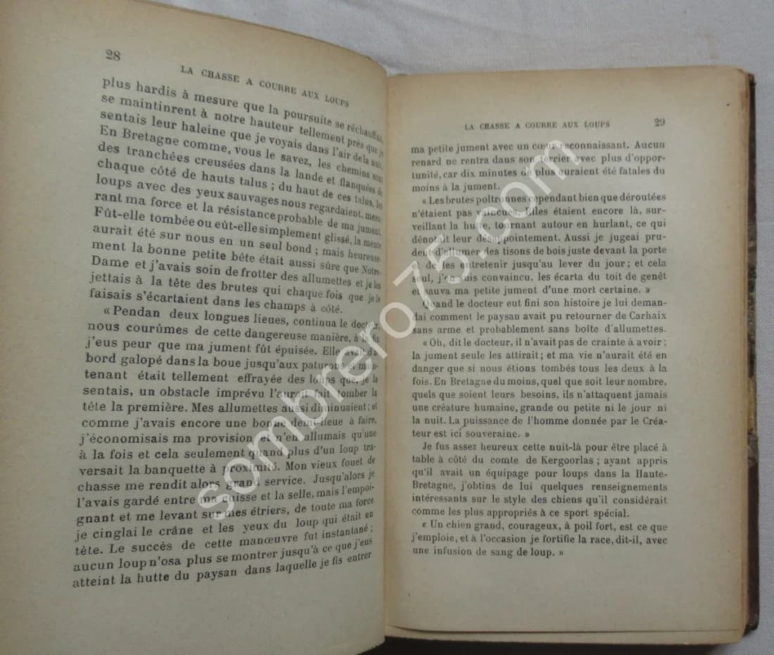 Chasses aux Loups et autres chasses en Basse Bretagne. DAVIES - Image 6
