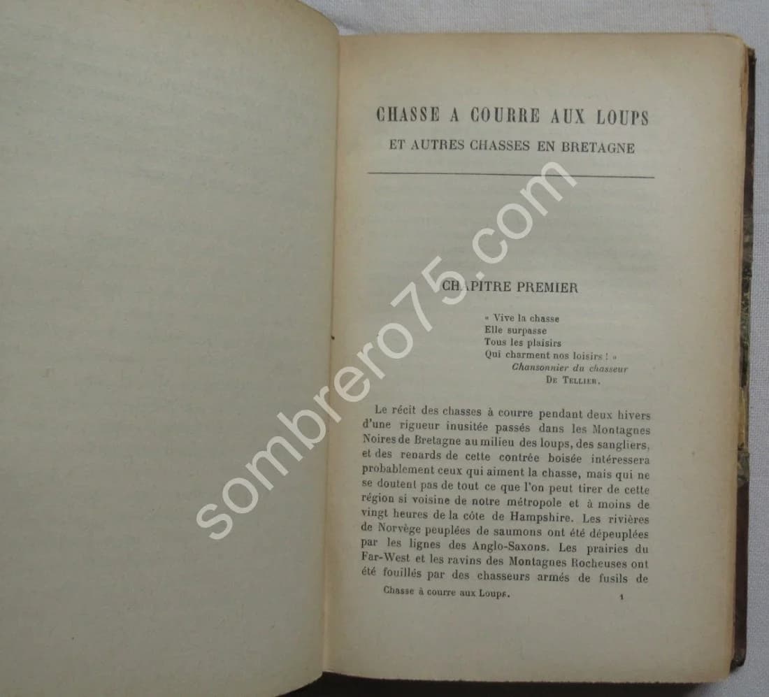 Chasses aux Loups et autres chasses en Basse Bretagne. DAVIES - Image 7