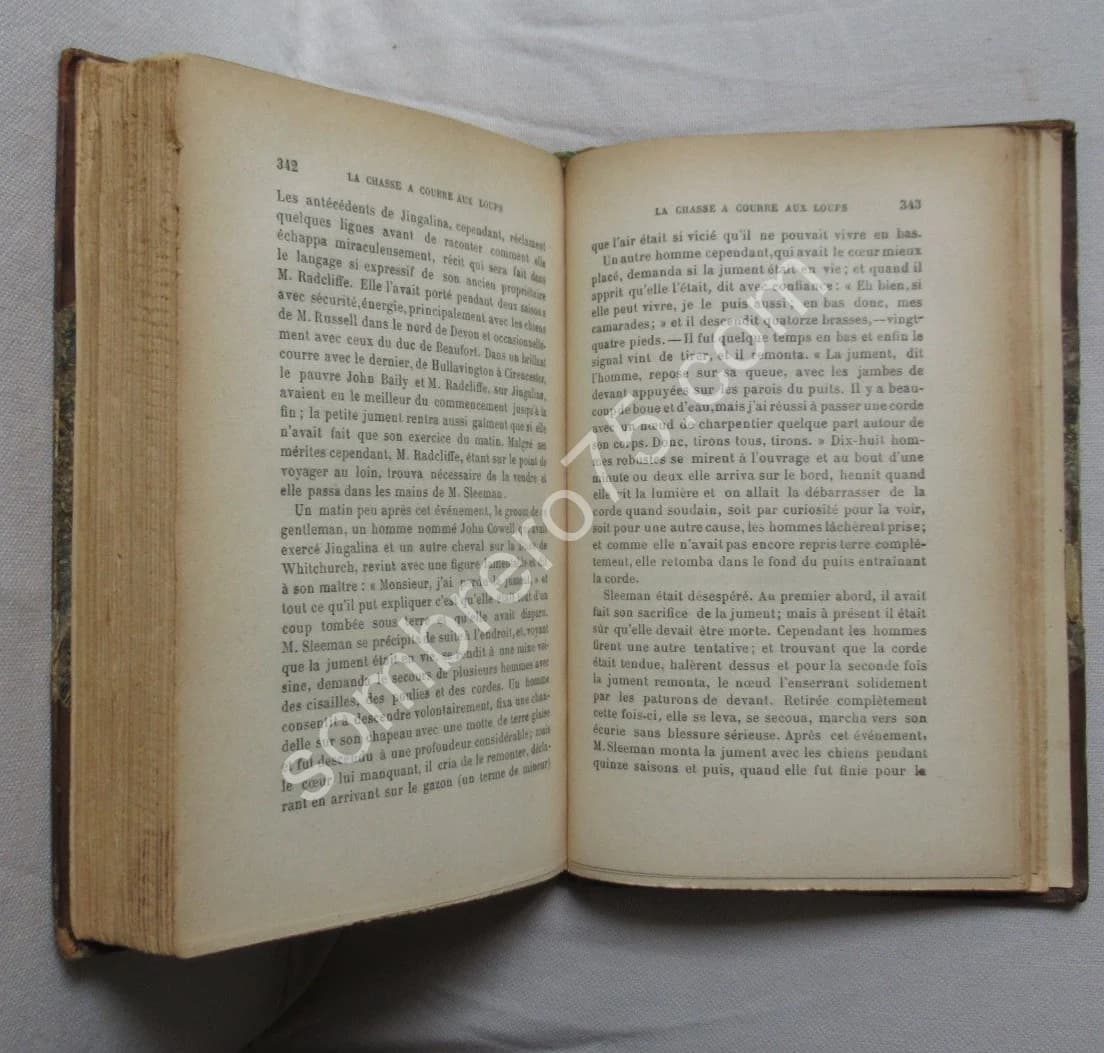 Chasses aux Loups et autres chasses en Basse Bretagne. DAVIES - Image 8