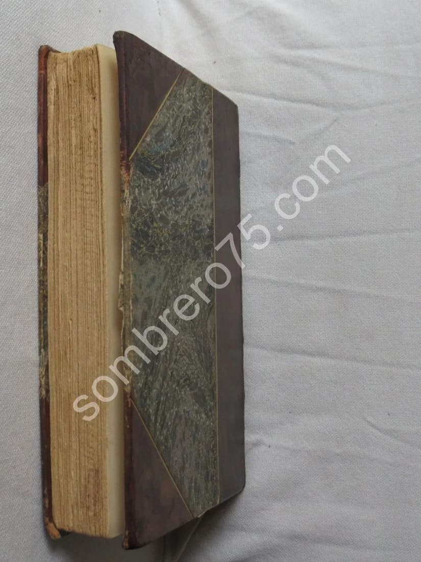 Chasses aux Loups et autres chasses en Basse Bretagne. DAVIES - Image 10