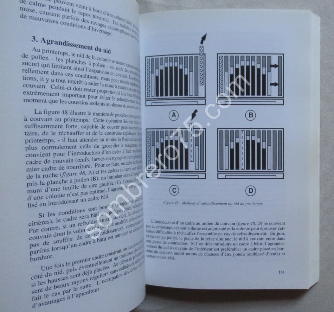 Etre Performant en Apiculture - Image 5