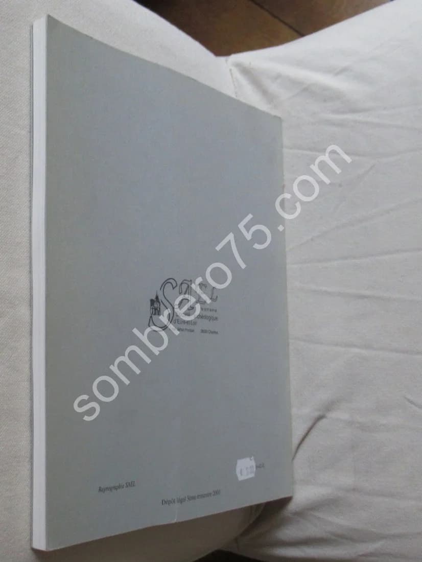 Les Cryptes de la Cathédrale de Chartres - Image 8