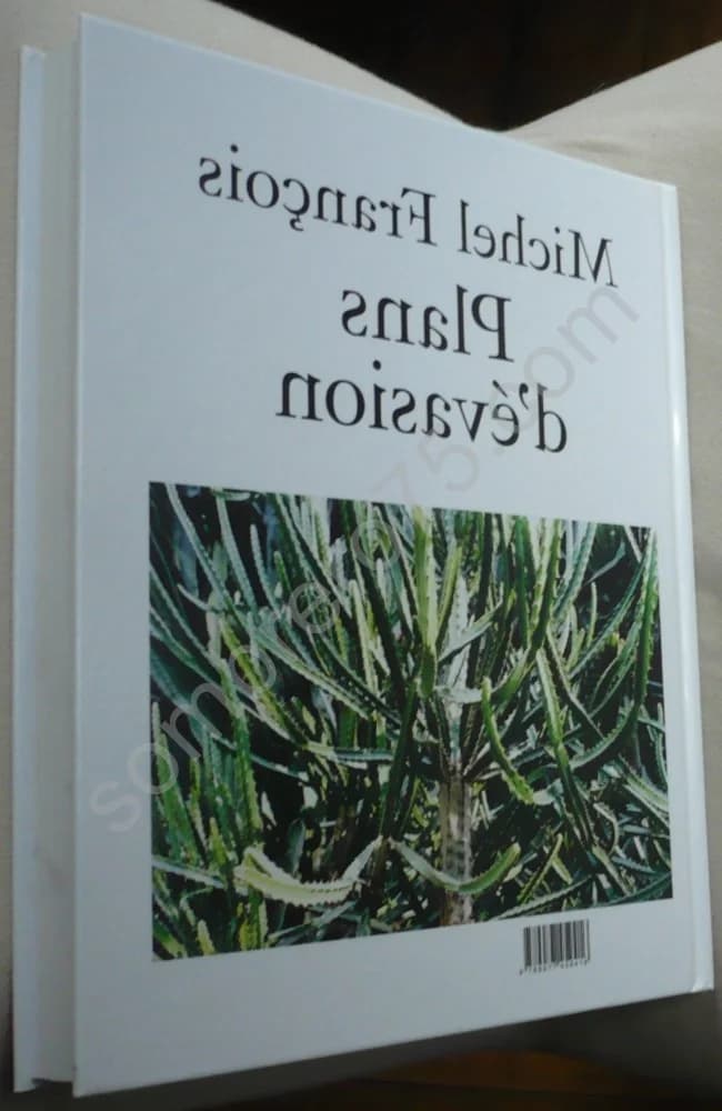 Michel François : Plans d'Evasion - Image 3