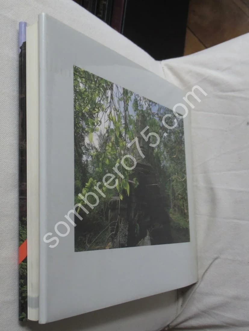 Voyage à travers Angkor - Image 10