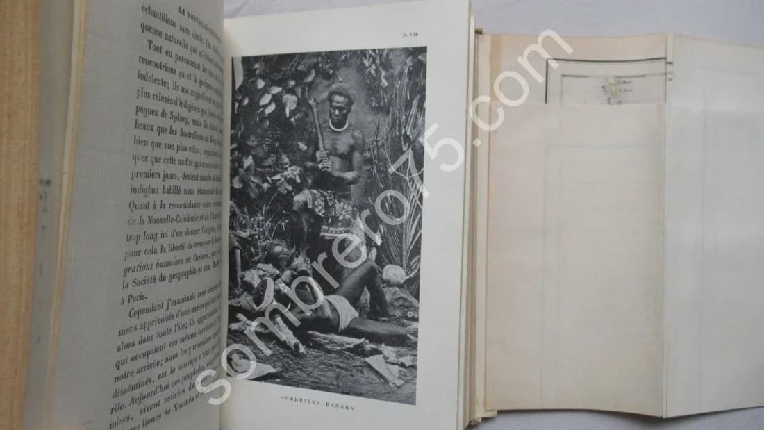 La Nouvelle Calédonie (côte orientale) - Image 5