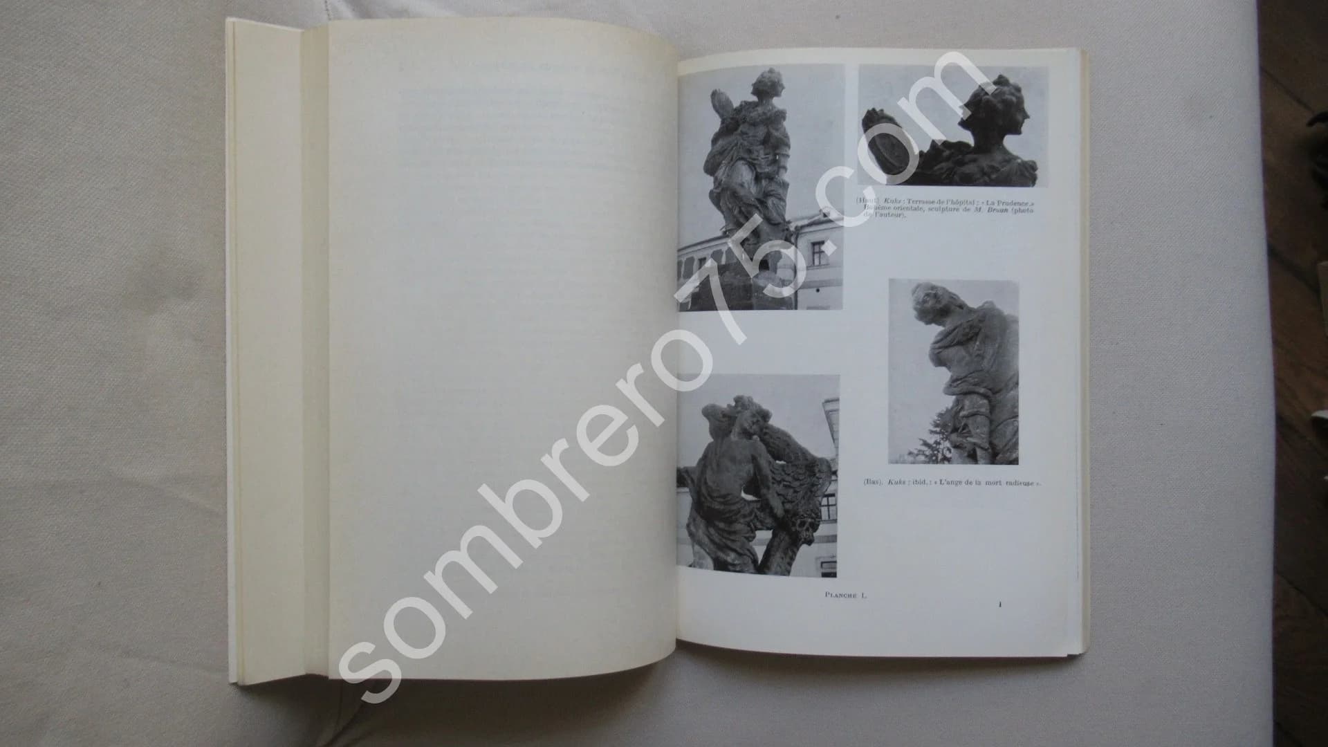 Les Métamorphoses du Désir et l'Oeuvre. J P MARTINON - Image 4