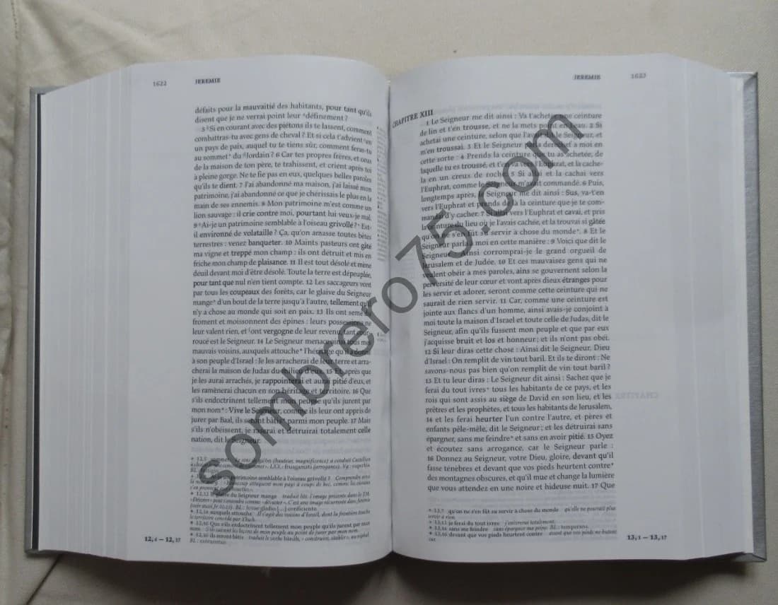 La Bible Nouvellement translatée par Sébastien Castellion - Image 5