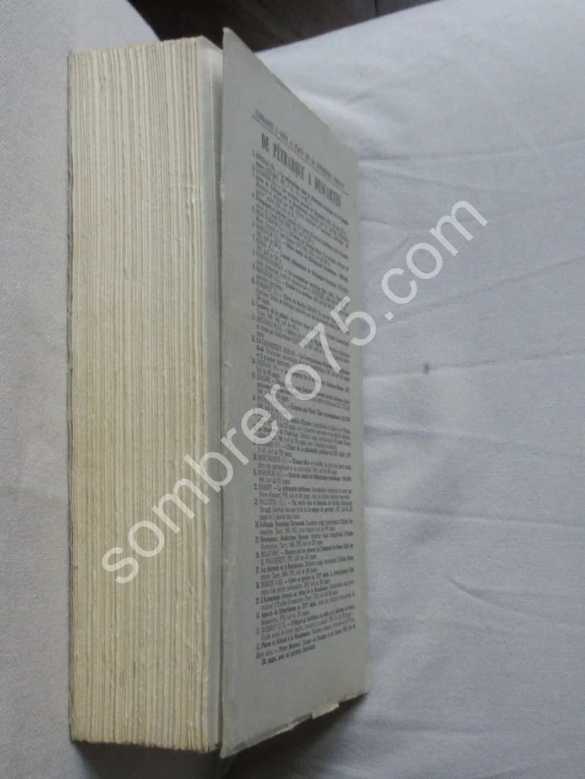 L'Essor de la Philosophie Politique au XVIe siècle - Image 5