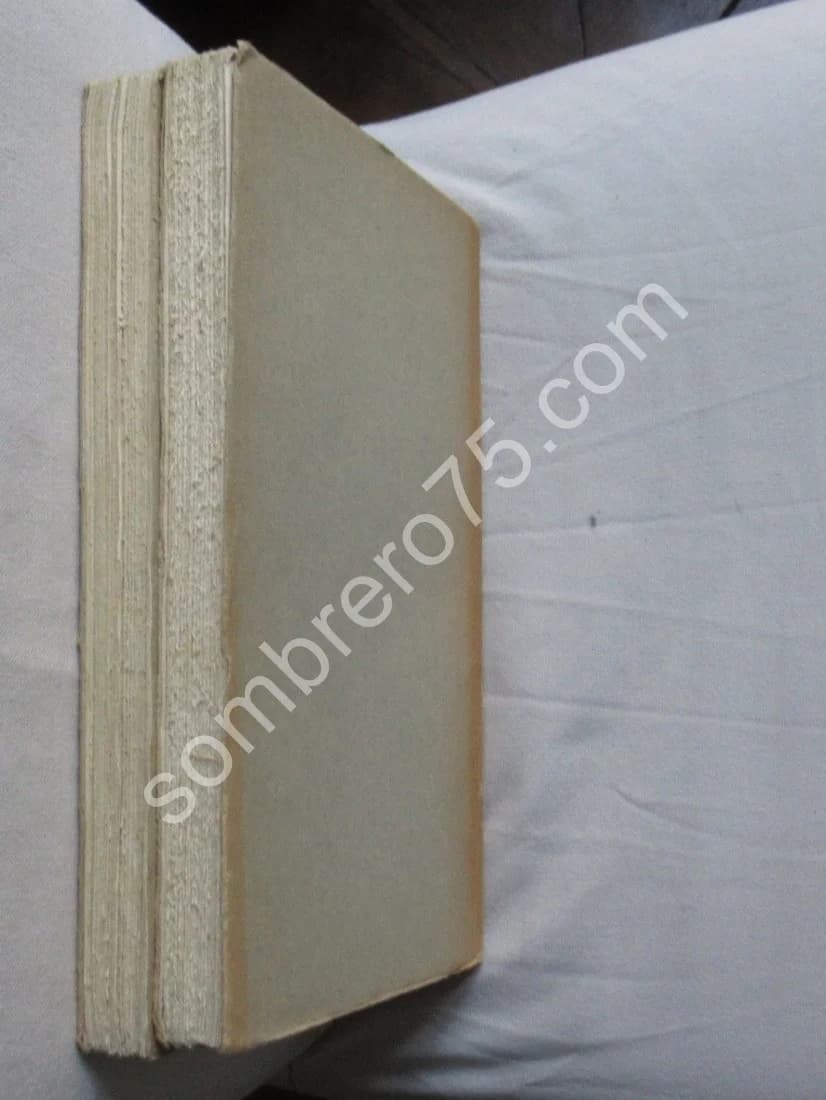 Microcosmus. Le Microcosmus. G de Saint Victor - 2 Tomes - Image 10