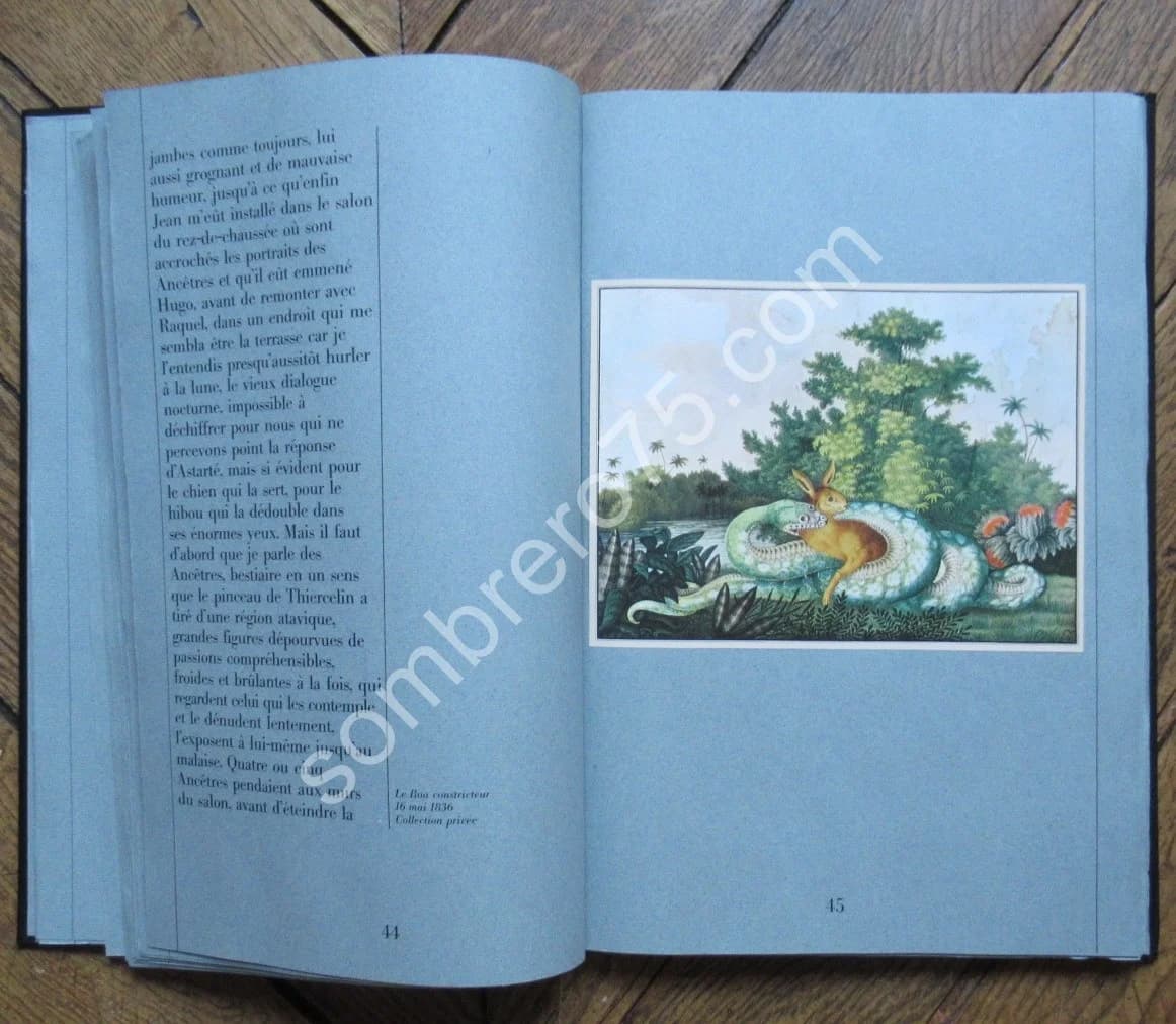 Zötl - Le Bestiaire d'Aloys Zötl (1831 1887) - Image 5