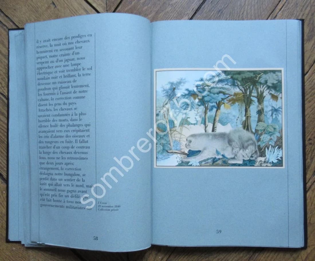 Zötl - Le Bestiaire d'Aloys Zötl (1831 1887) - Image 6