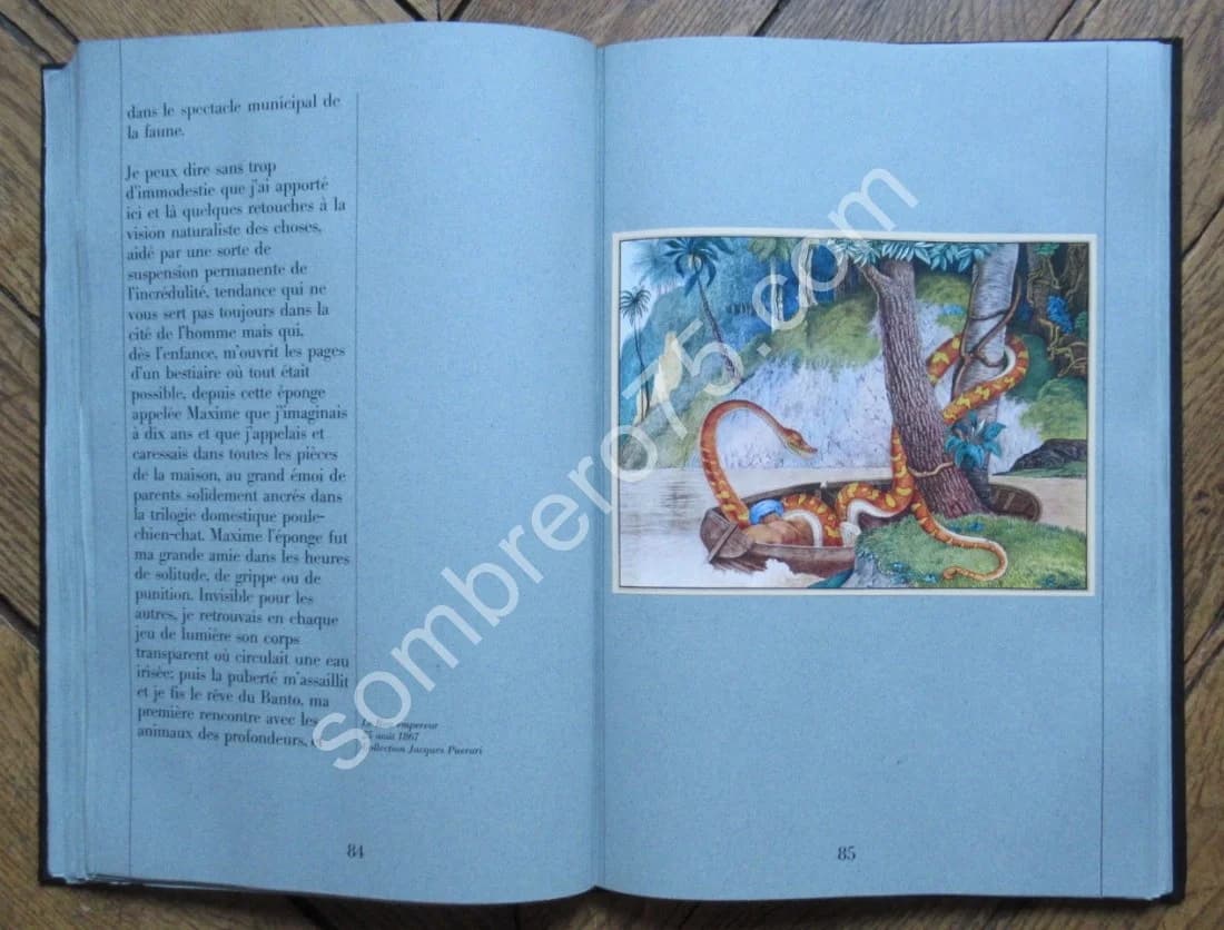 Zötl - Le Bestiaire d'Aloys Zötl (1831 1887) - Image 7