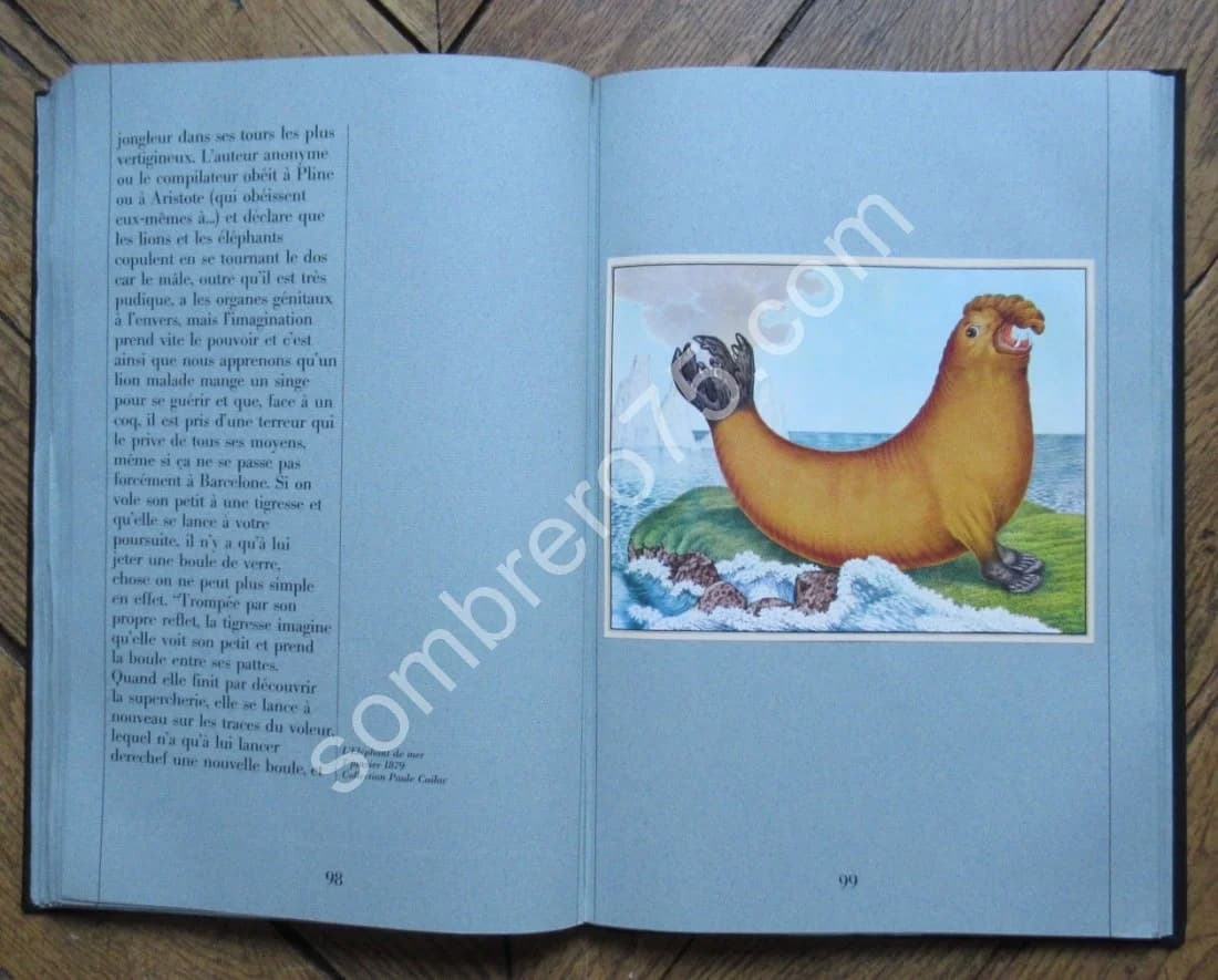 Zötl - Le Bestiaire d'Aloys Zötl (1831 1887) - Image 8