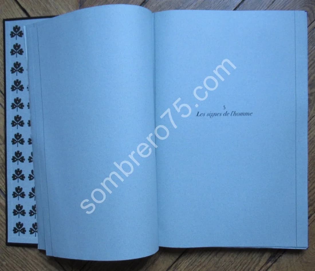 Tamara de Lempicka - Image 2