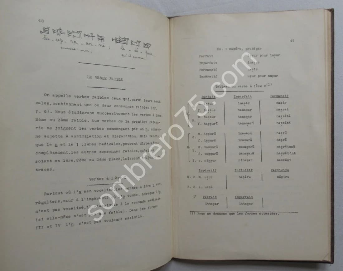 Eléments d'Accadien. (Assyrien-Babylonien) Notions de grammaire. M RUTTEN - Image 3