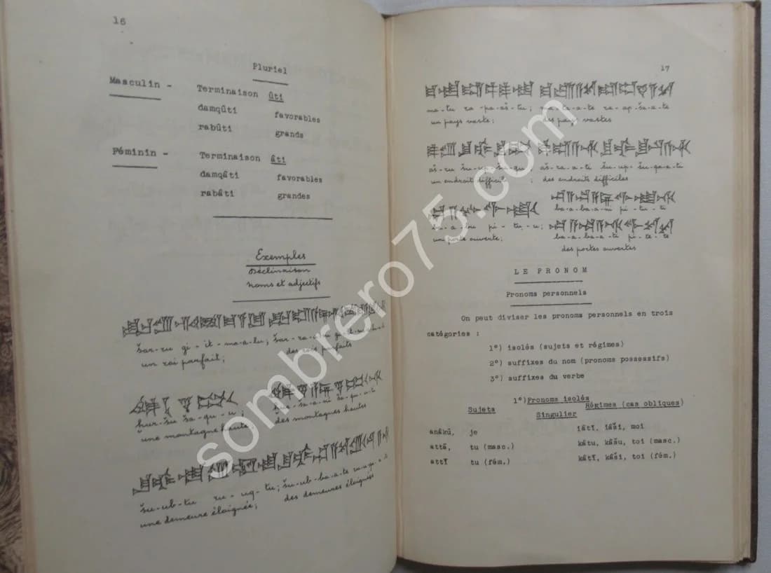 Eléments d'Accadien. (Assyrien-Babylonien) Notions de grammaire. M RUTTEN - Image 6
