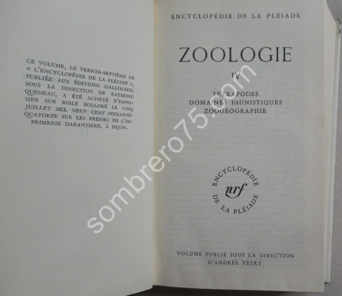 Zoologie. Tome 4. Pléiade - Image 3