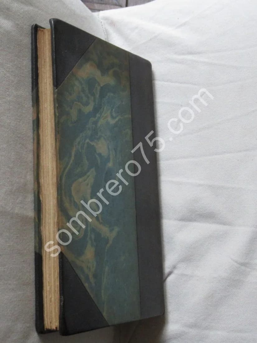 La Sépulture du Dauphin et de la Dauphine dans la Cathédrale de Sens - Image 8