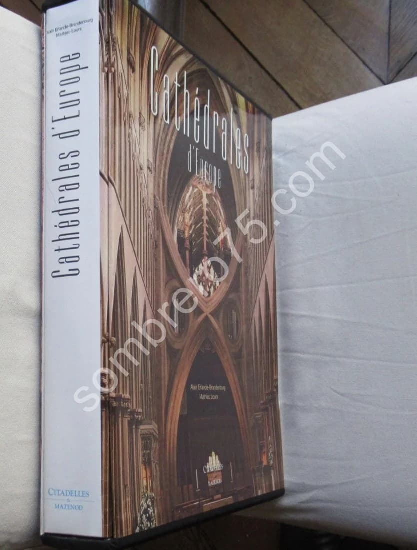 Cathédrales d'Europe. Mazenod - Image 3