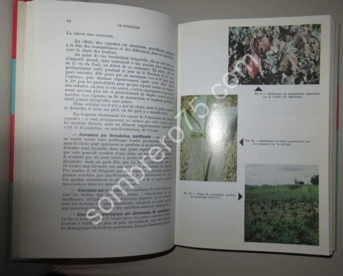 Le Cotonnier et ses Produits. Techniques agricoles et productions tropicales. PARRY - Image 5