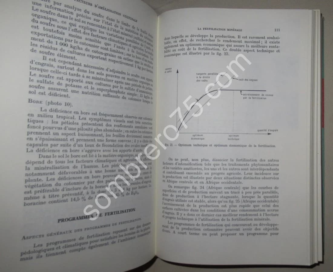 Le Cotonnier et ses Produits. Techniques agricoles et productions tropicales. PARRY - Image 6