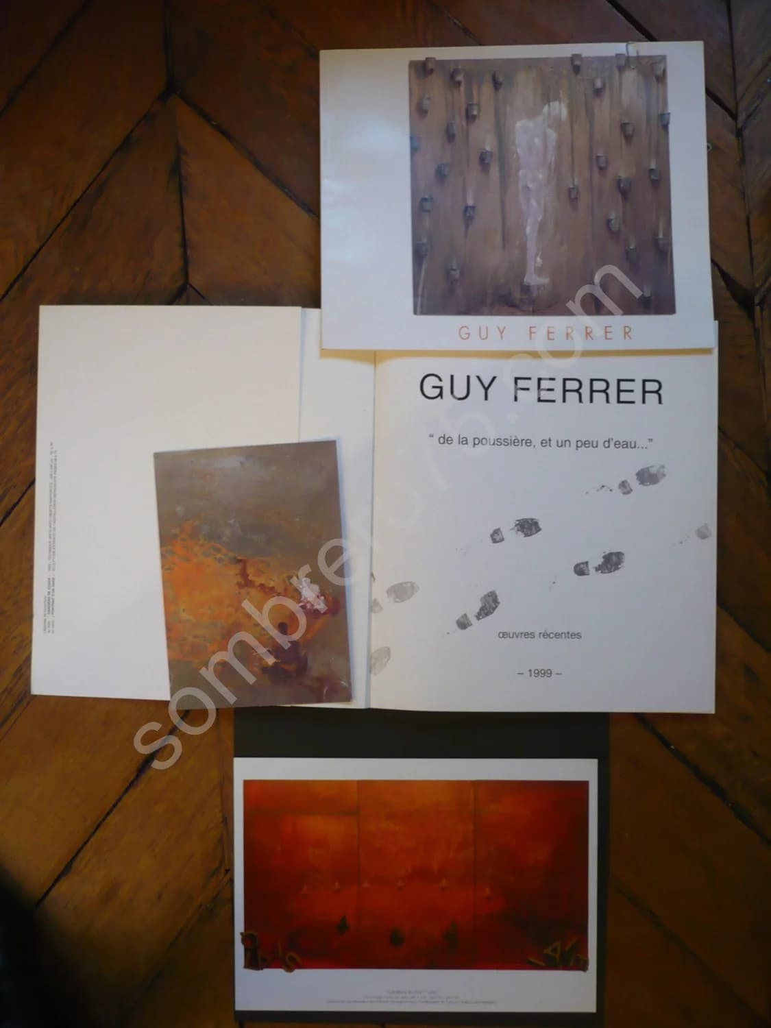 Guy FERRER : 2 catalogues dont "de la poussière et un peu d'eau" - Image 2