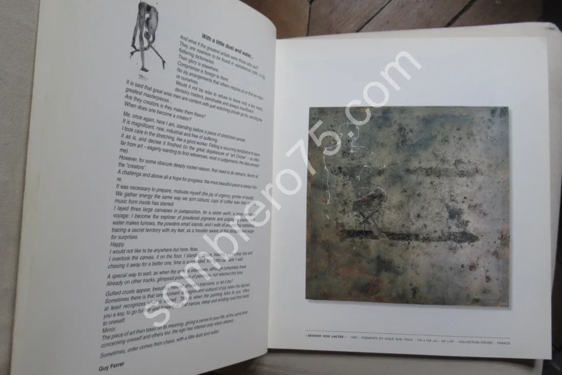 Guy FERRER : 2 catalogues dont "de la poussière et un peu d'eau" - Image 5